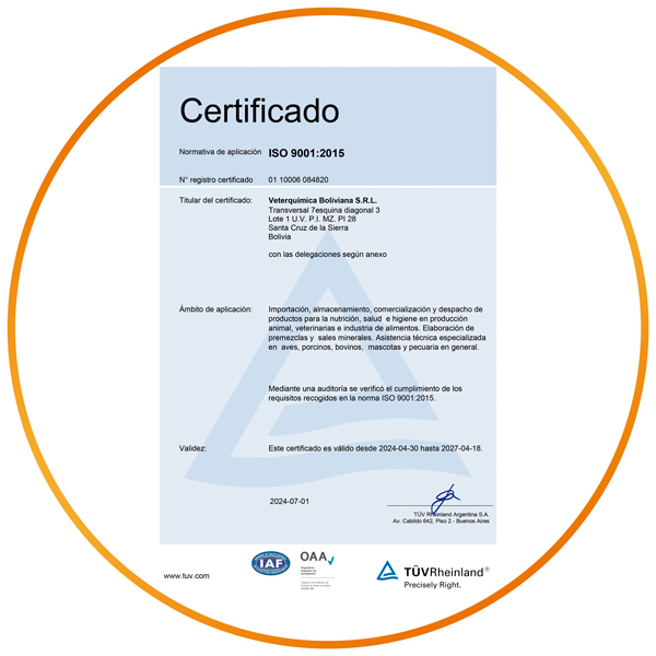 ISO 9001